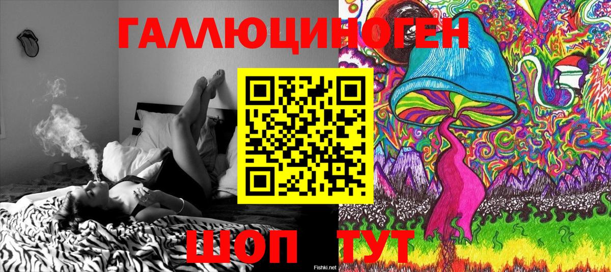 Псилоцибиновые грибы Psilocybe Михайловка