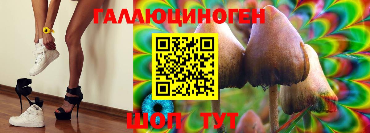Михайловка  Псилоцибиновые грибы Psilocybe  купить  сайты  Вход с VPN  Псилоцибиновые грибы Magic Shrooms 